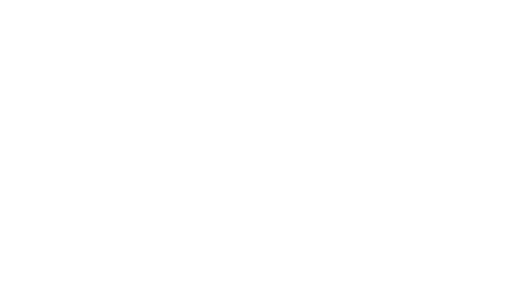 Arctic-Cat - Precision EFI