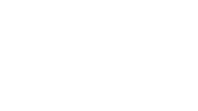 Polaris - Precision EFI