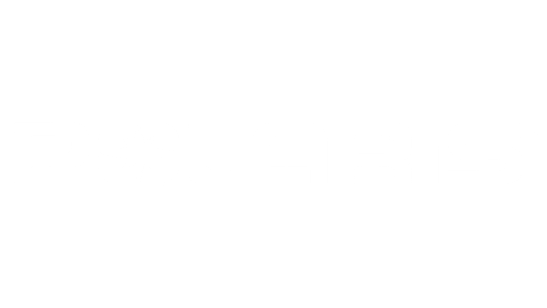Polaris-SXS - Precision EFI